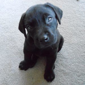 Meet your Posher, Maryann