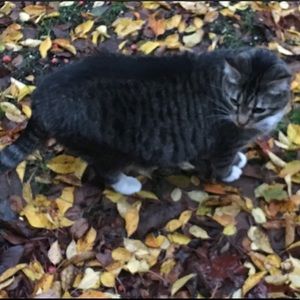 Meet your Posher, Angie