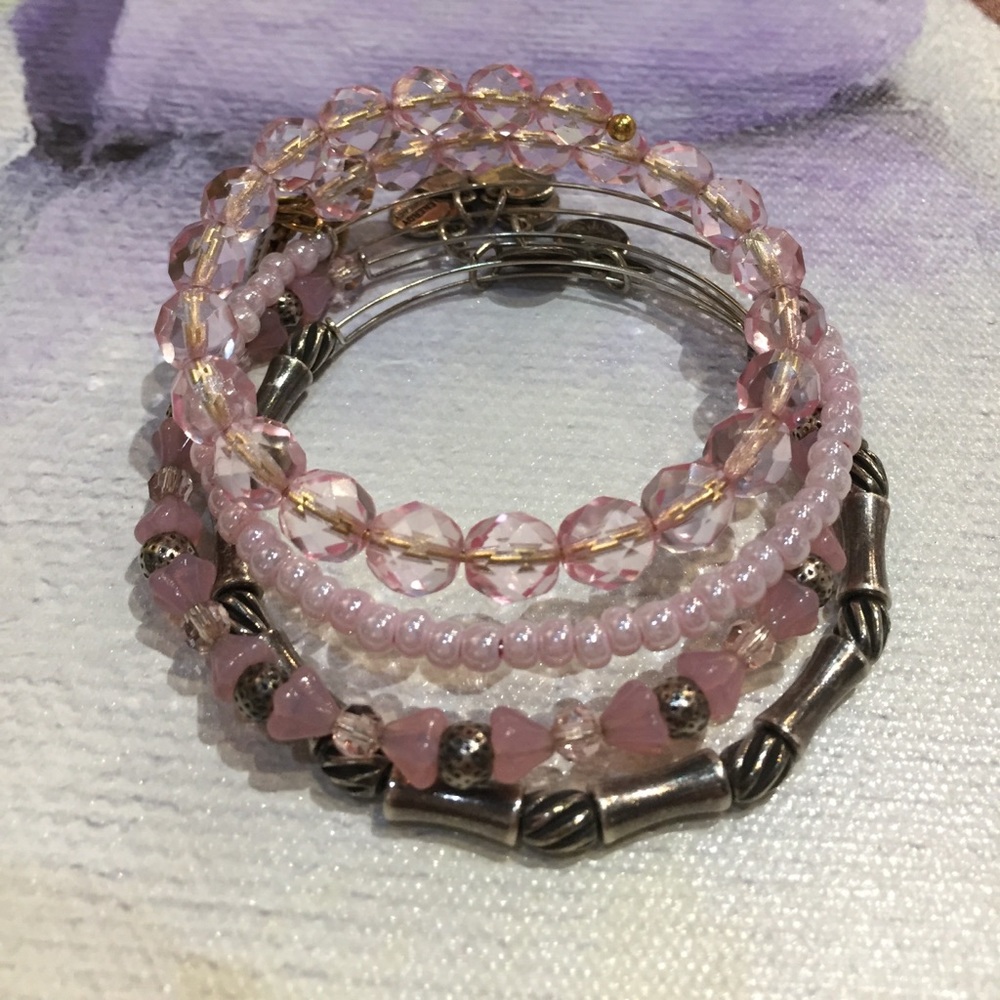 🎀 Set of 4 Alex & Ani EWB & V66 wrap 🎀