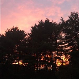 Meet your Posher, Alison