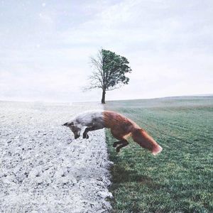 Meet your Posher, Lindsay