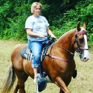 Meet your Posher, Missy