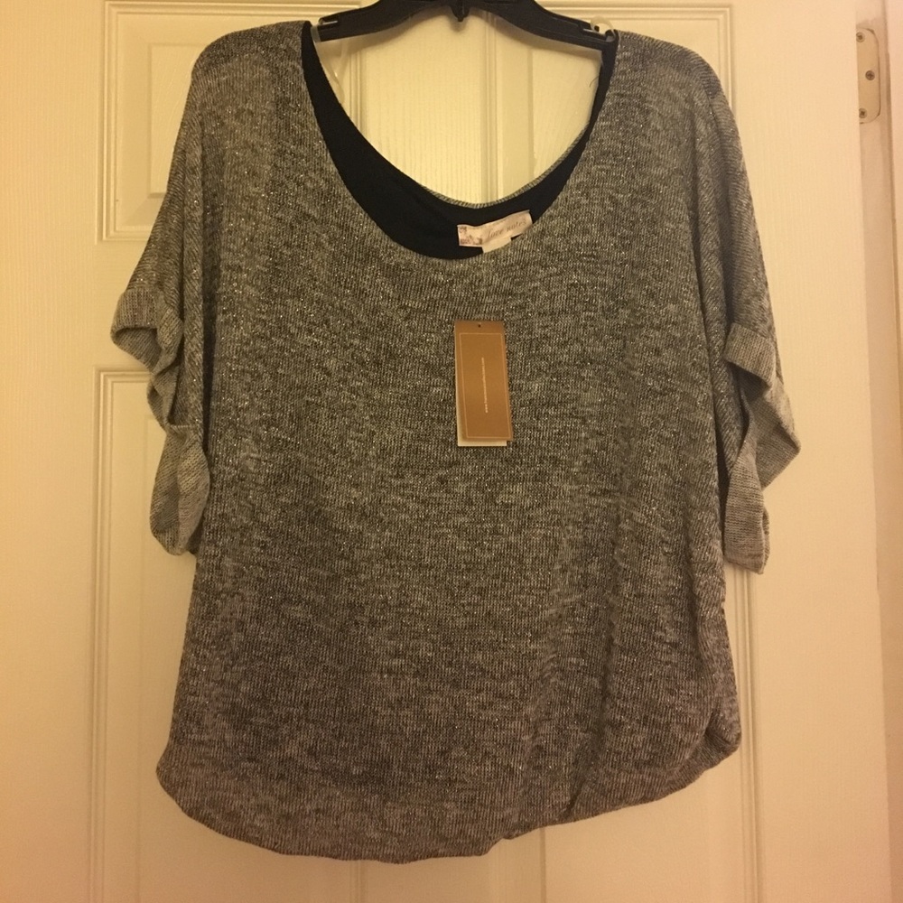 NWT Francesca’s Shimmery Gray Top Large