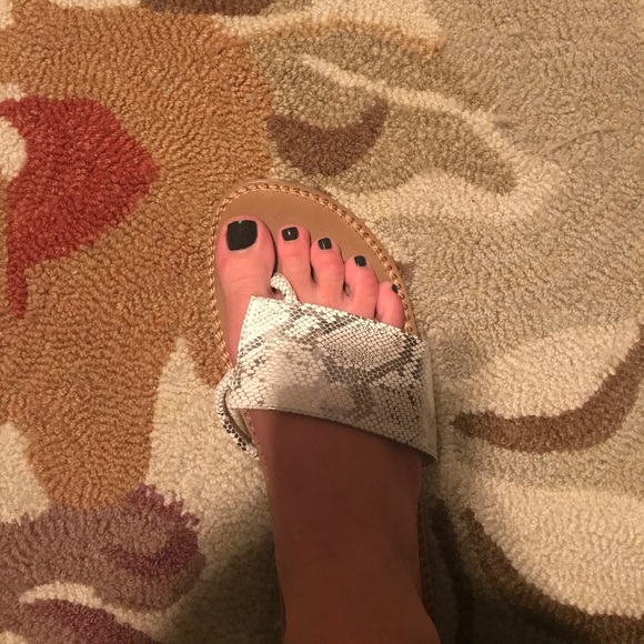 Volatile | Snake Skin Sandal - Picture 4 of 4