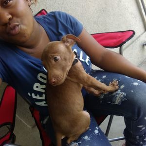 Meet your Posher, Angel