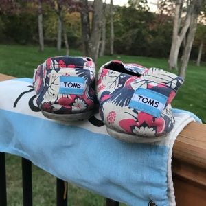 TOMS Sz 9.5