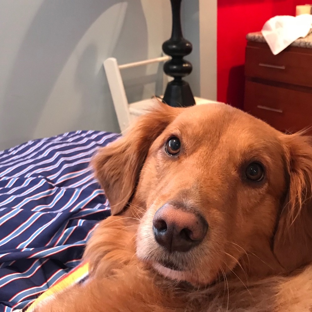 Meet your Posher, Keely