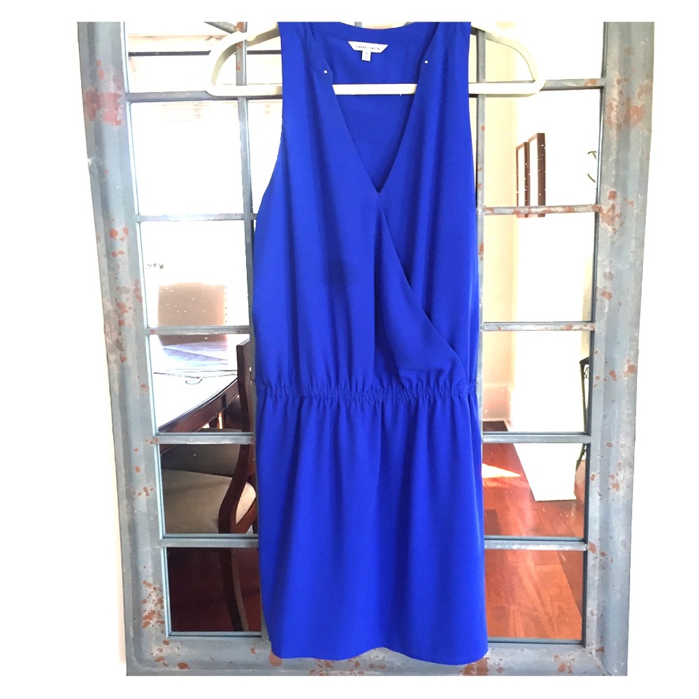 Blue Naked Zebra Dress