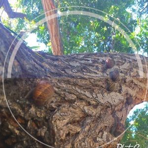 Meet your Posher, Harper