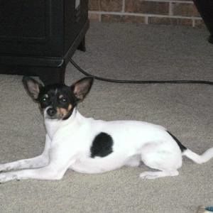 Meet your Posher, Margaret