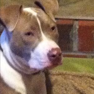 Meet your Posher, Tia