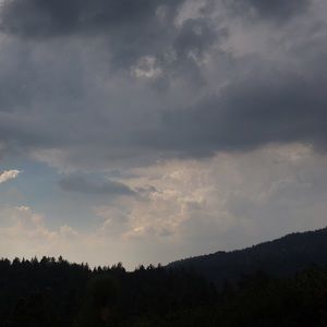 Meet your Posher, Layton