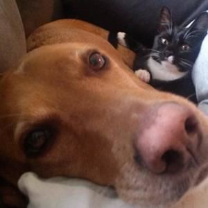 Meet your Posher, Michael