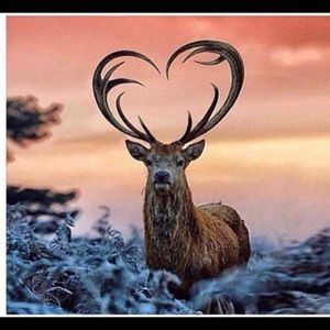 Meet your Posher, Evan