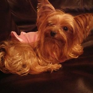 Meet your Posher, Brittany