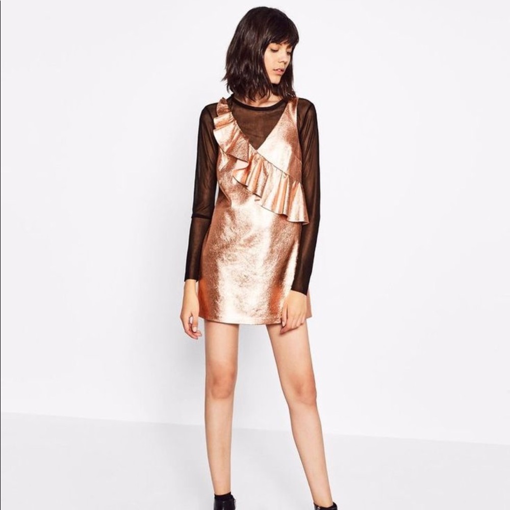 NWT Zara Rose Gold Dress
