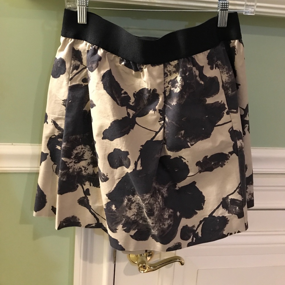 J Crew skirt
