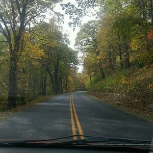 Meet your Posher, Lina