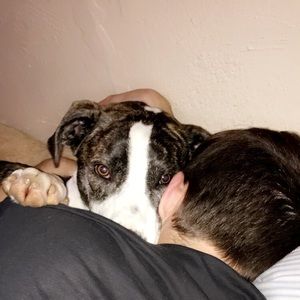 Meet your Posher, Connor