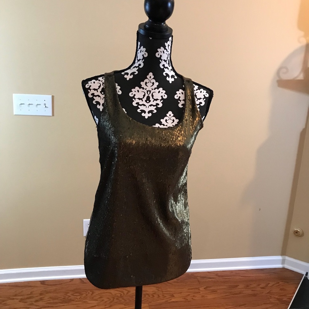 Ann Taylor Bronze Sequin Top