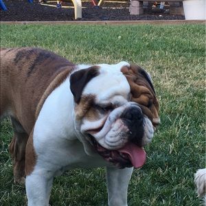 Meet your Posher, Mike