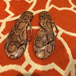 Yosi Samra snake print thongs