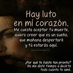 Meet your Posher, Ana