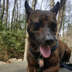 Meet your Posher, Sabrina