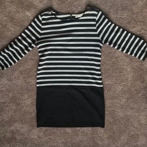 Loft Black & White Sweater Shift Dress