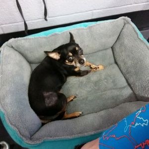 Meet your Posher, Vanessa