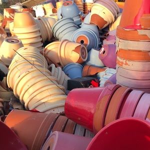 Meet your Posher, Sonya