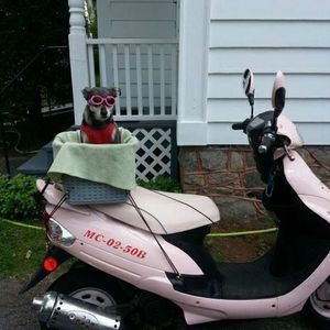 Meet your Posher, Lisa