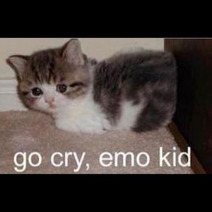 Meet your Posher, Meagan