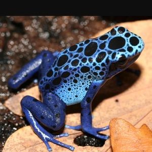 Meet your Posher, Mike