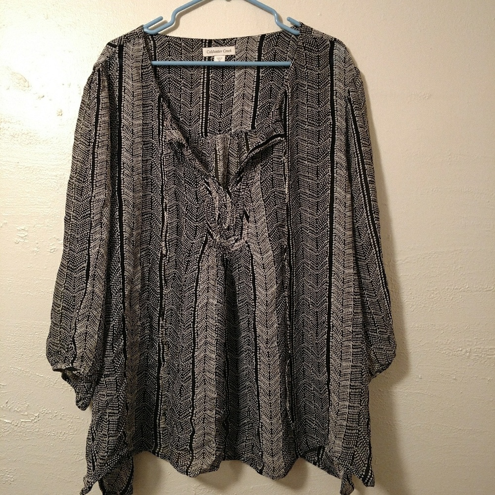 Plus size sheer blouse