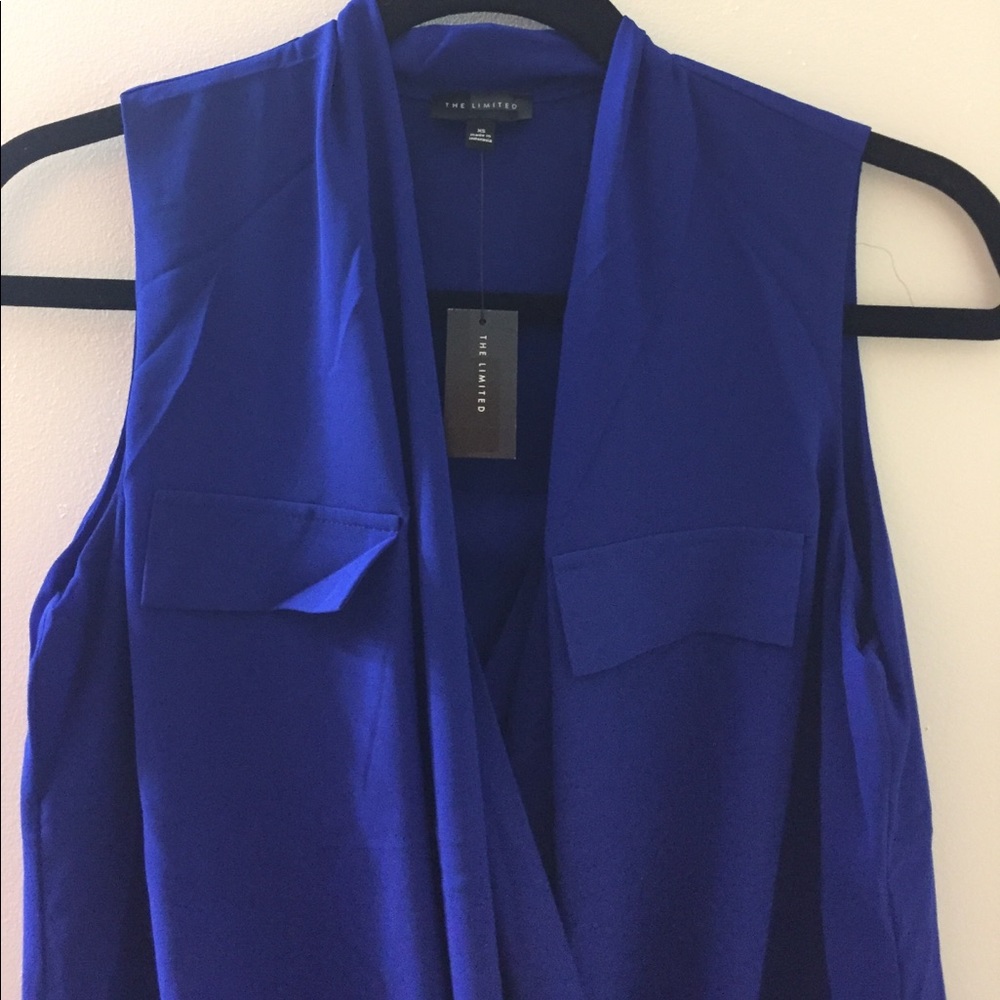 The Limited dress