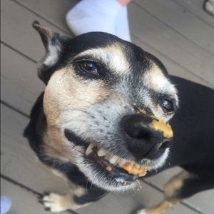 Meet your Posher, Elle