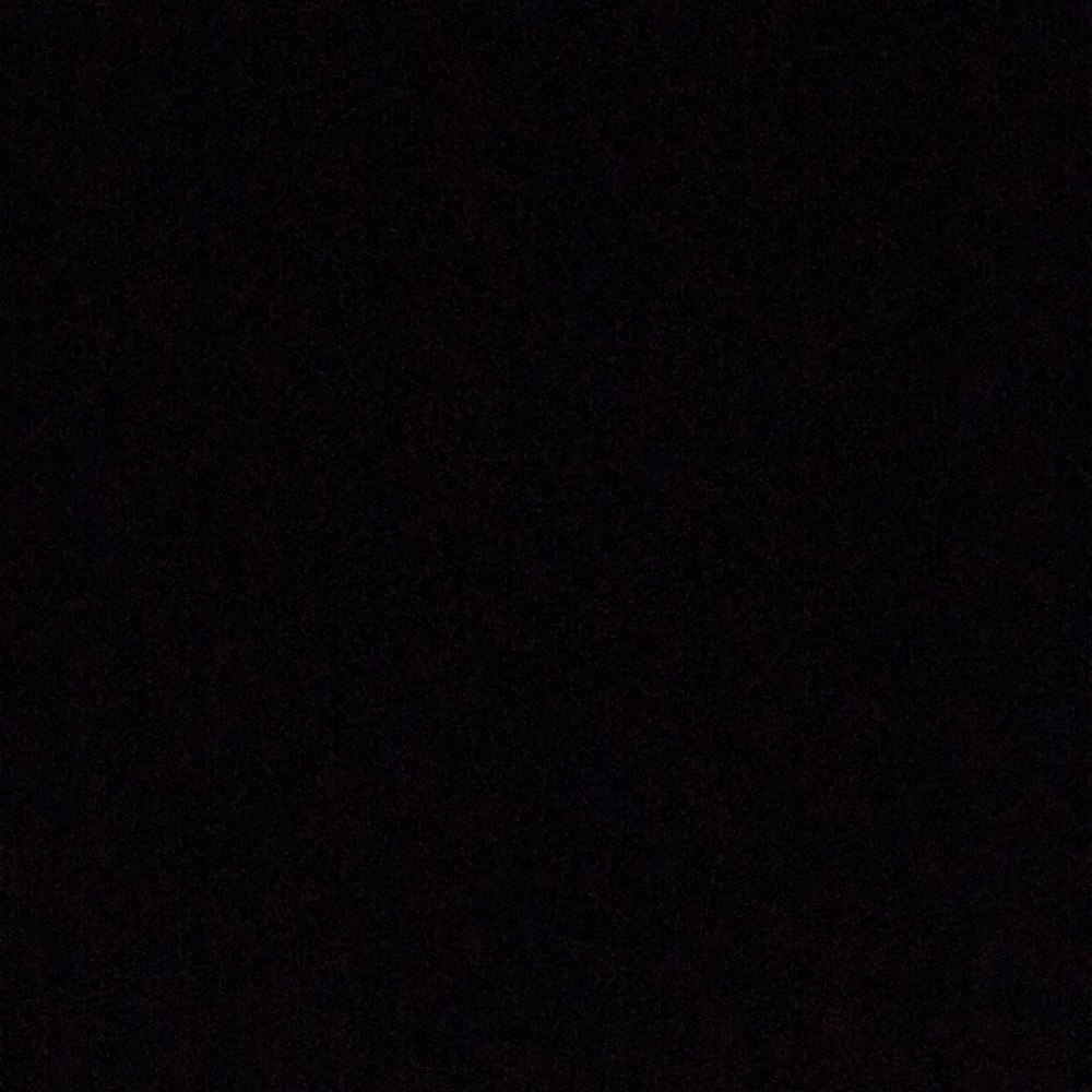 Meet your Posher, Isabella