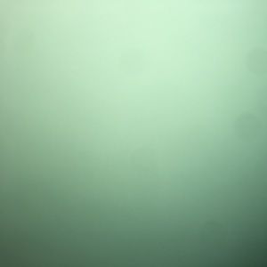 Meet your Posher, Alana