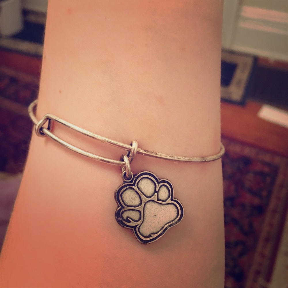 Alex and Ani 2016 SPCA bracelet