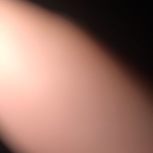 Meet your Posher, Bail