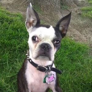 Meet your Posher, Eva