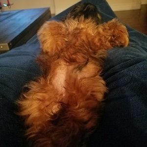 Meet your Posher, Amanda