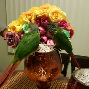 Meet your Posher, Hina