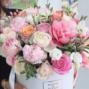 Meet your Posher, Lupita