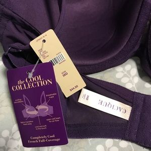 Cacique Cool Collection bra 36D