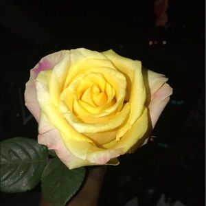 Meet your Posher, Nygel