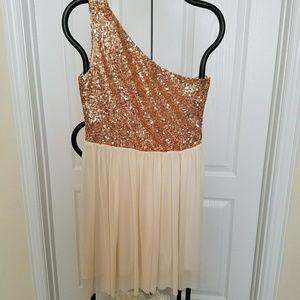 Gorgeous dress prefect for Christmas picture