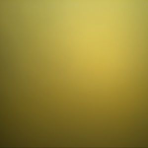 Meet your Posher, Darius