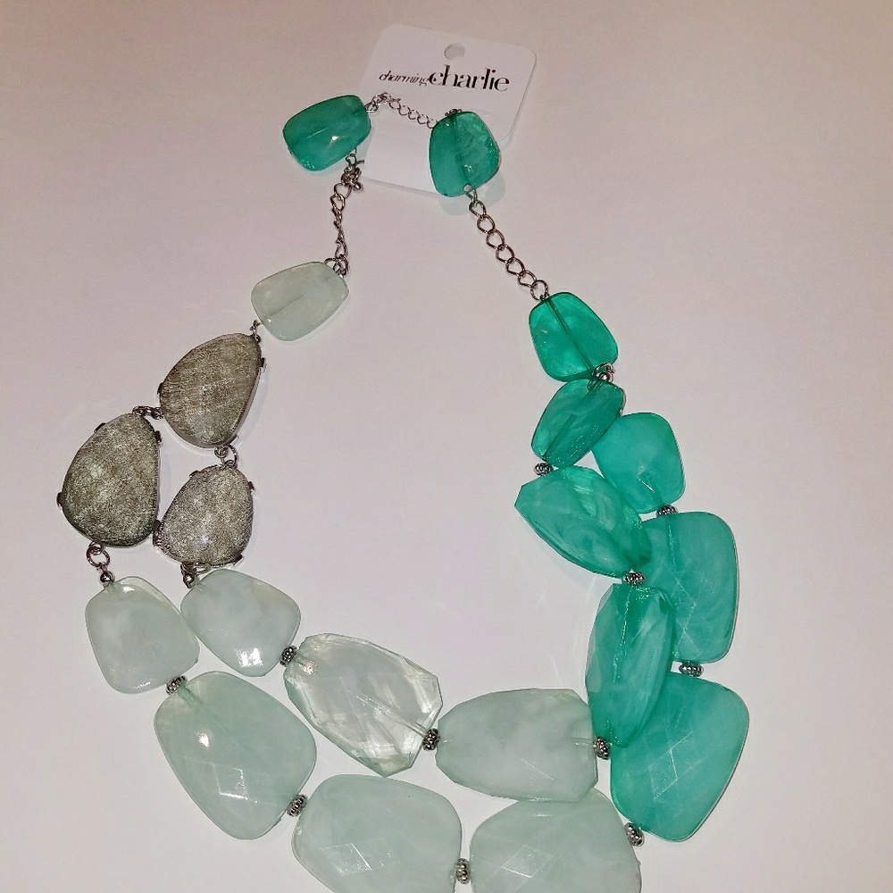 💚Charming Charlie's Earrings and Necklace